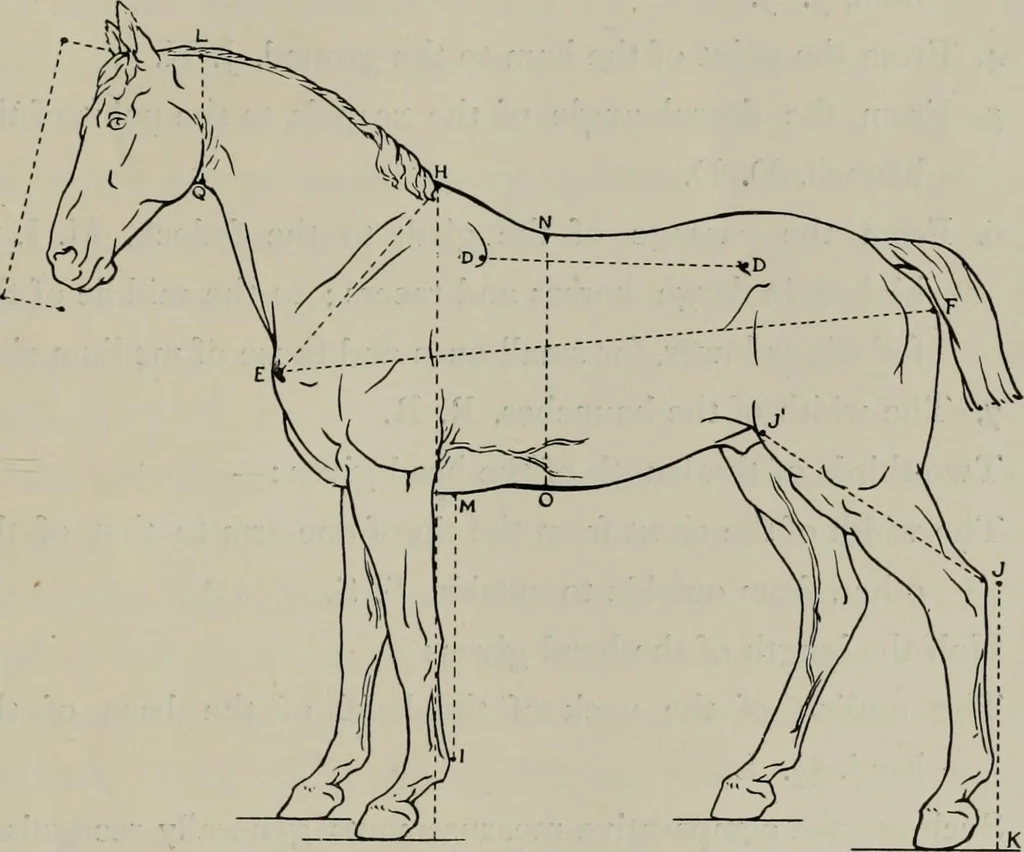 An illustration from Modelling; a guide for teachers and students, 1902, leaf 44