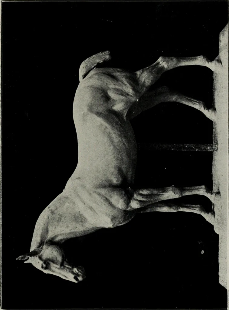An illustration from Modelling; a guide for teachers and students, 1902, leaf 50
