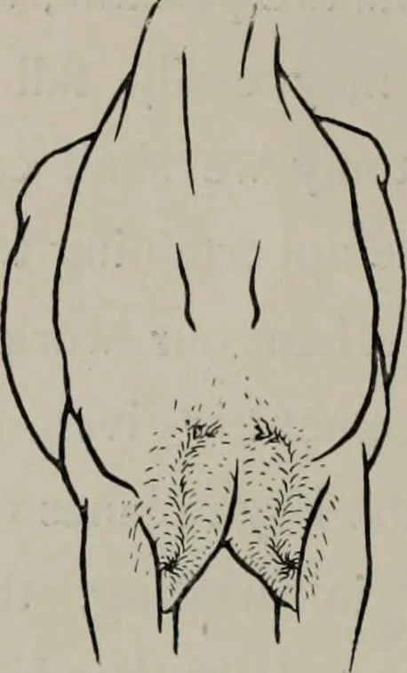 An illustration from Modelling; a guide for teachers and students, 1902, leaf 53