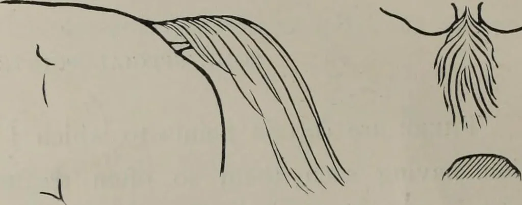 An illustration from Modelling; a guide for teachers and students, 1902, leaf 55