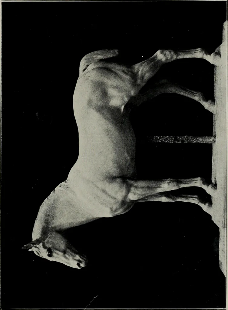 An illustration from Modelling; a guide for teachers and students, 1902, leaf 56