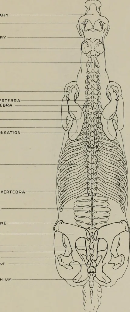 An illustration from Modelling; a guide for teachers and students, 1902, leaf 66