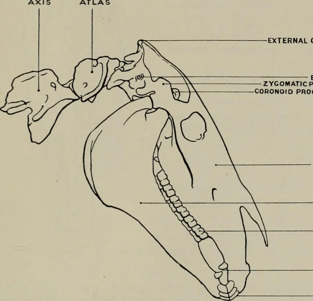 An illustration from Modelling; a guide for teachers and students, 1902, leaf 72