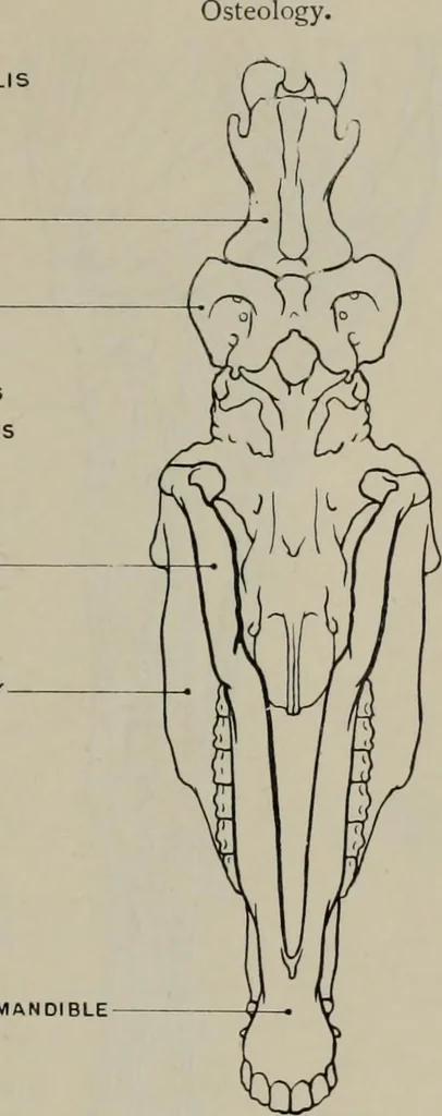 An illustration from Modelling; a guide for teachers and students, 1902, leaf 74