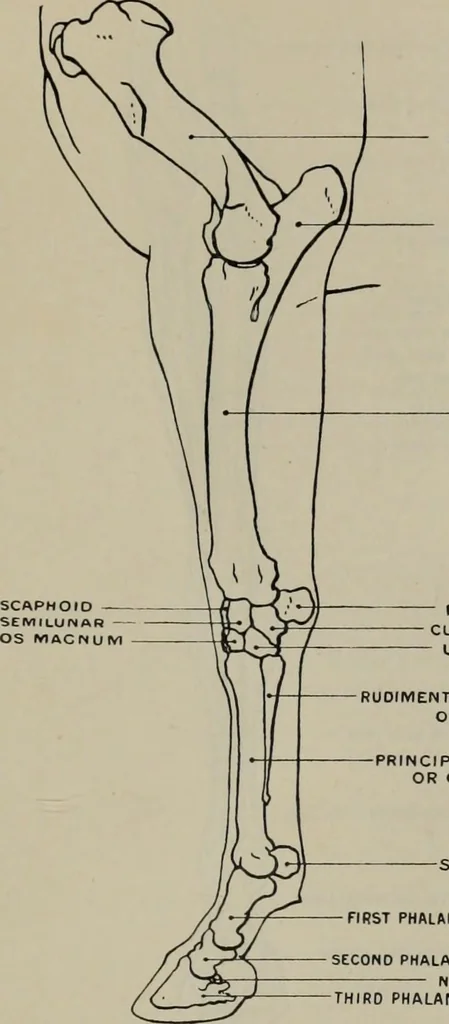 An illustration from Modelling; a guide for teachers and students, 1902, leaf 76