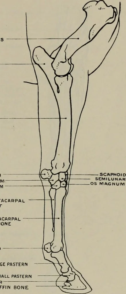 An illustration from Modelling; a guide for teachers and students, 1902, leaf 76