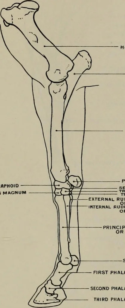 An illustration from Modelling; a guide for teachers and students, 1902, leaf 80