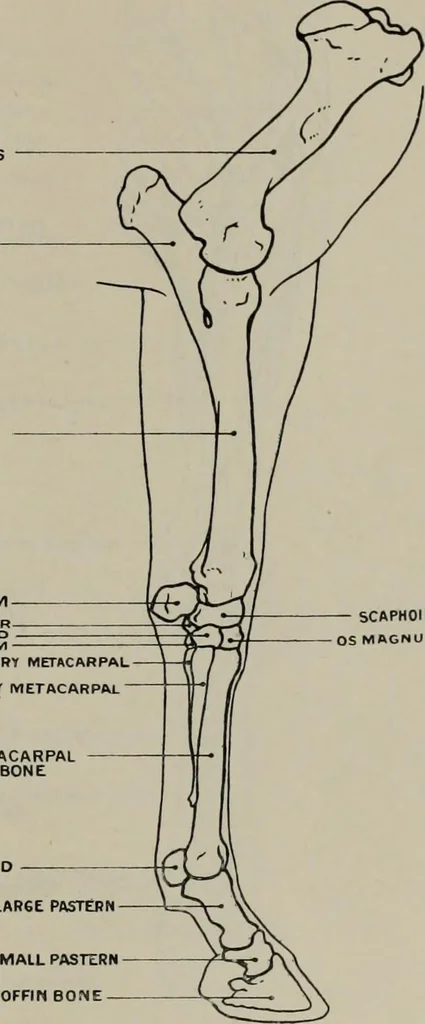An illustration from Modelling; a guide for teachers and students, 1902, leaf 80