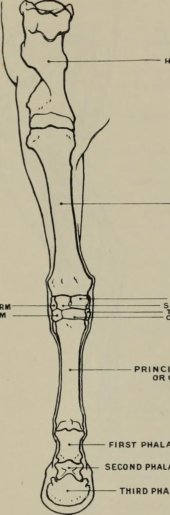 An illustration from Modelling; a guide for teachers and students, 1902, leaf 82