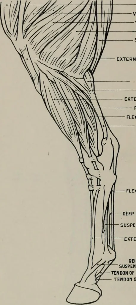 An illustration from Modelling; a guide for teachers and students, 1902, leaf 83