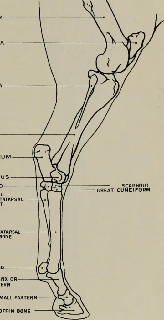 An illustration from Modelling; a guide for teachers and students, 1902, leaf 84