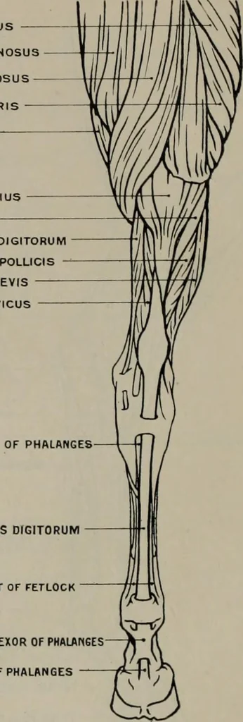 An illustration from Modelling; a guide for teachers and students, 1902, leaf 85
