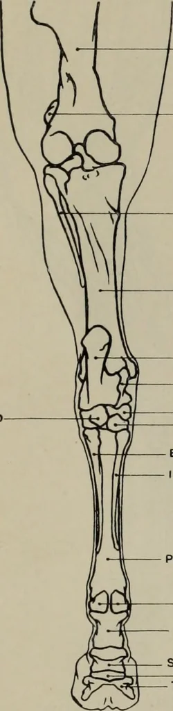 An illustration from Modelling; a guide for teachers and students, 1902, leaf 86