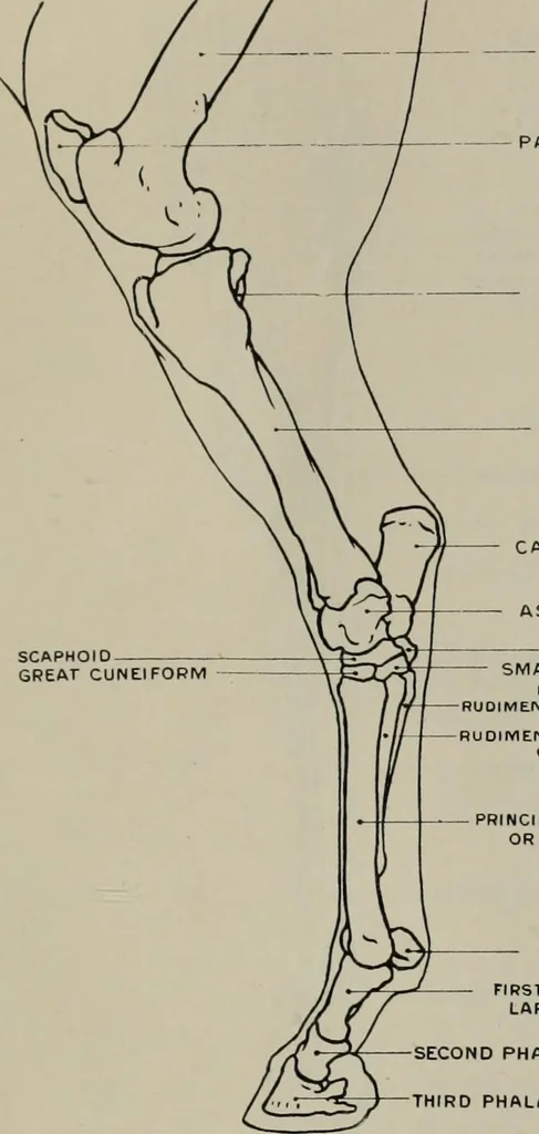 An illustration from Modelling; a guide for teachers and students, 1902, leaf 88