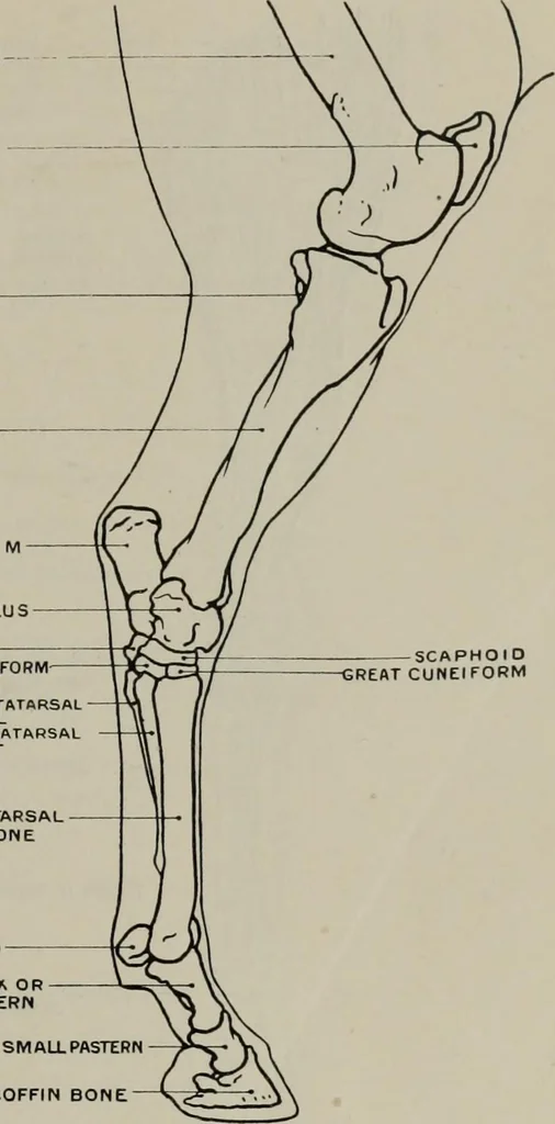 An illustration from Modelling; a guide for teachers and students, 1902, leaf 88