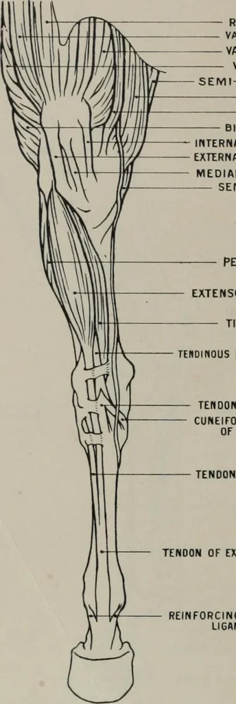 An illustration from Modelling; a guide for teachers and students, 1902, leaf 89