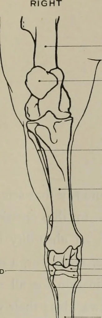 An illustration from Modelling; a guide for teachers and students, 1902, leaf 90