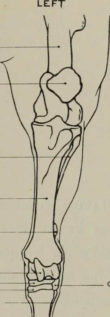 An illustration from Modelling; a guide for teachers and students, 1902, leaf 90