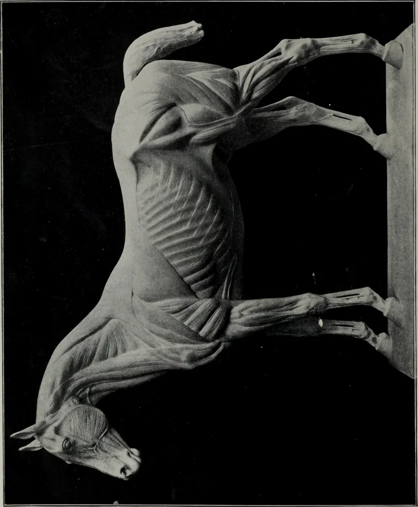 An illustration from Modelling; a guide for teachers and students, 1902, leaf 93
