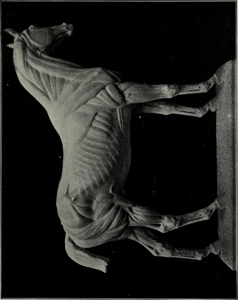 An illustration from Modelling; a guide for teachers and students, 1902, leaf 94