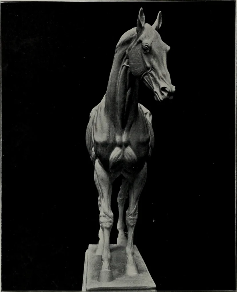 An illustration from Modelling; a guide for teachers and students, 1902, leaf 97