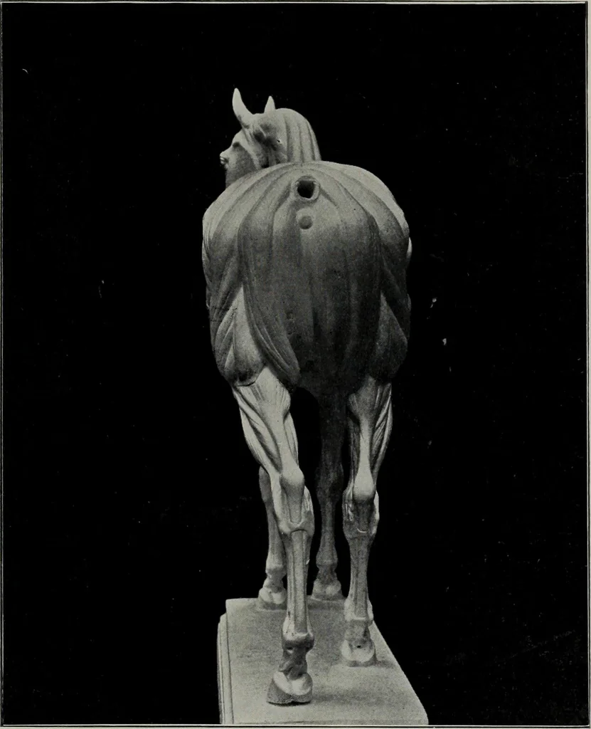 An illustration from Modelling; a guide for teachers and students, 1902, leaf 98