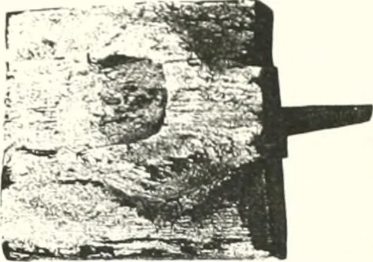 An illustration from Models of ships and boats, 1913, leaf 266