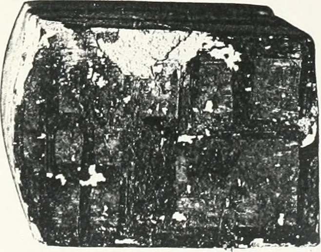 An illustration from Models of ships and boats, 1913, leaf 268