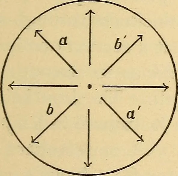 An illustration from Modern American locomotive engines; their design, construction and management. A practical work for practical men, 1883, leaf 162