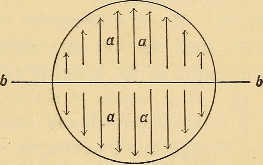 An illustration from Modern American locomotive engines; their design, construction and management. A practical work for practical men, 1883, leaf 162