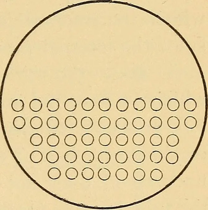 An illustration from Modern American locomotive engines; their design, construction and management. A practical work for practical men, 1883, leaf 176