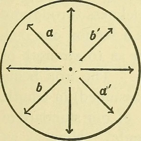 An illustration from Modern American locomotive engines; their design, construction and management. A practical work for practical men, 1883, leaf 162