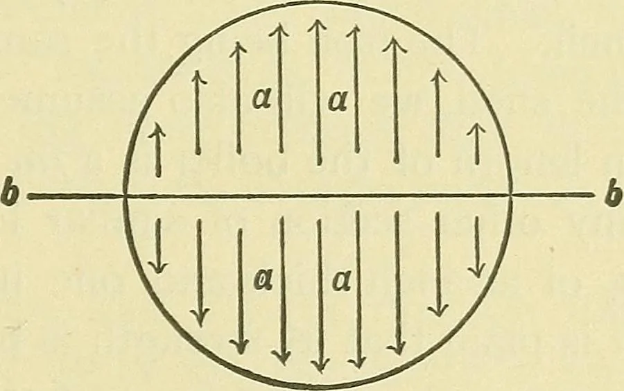 An illustration from Modern American locomotive engines; their design, construction and management. A practical work for practical men, 1883, leaf 162
