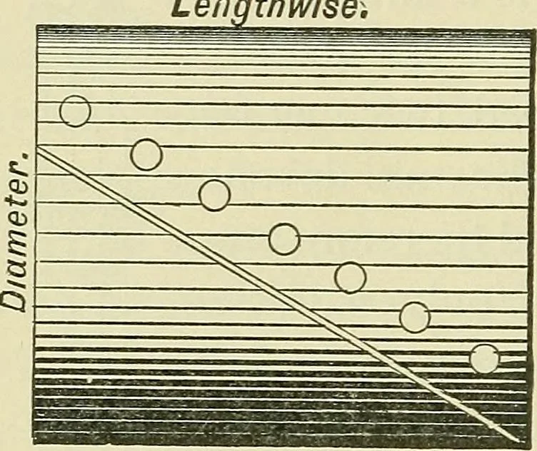 An illustration from Modern American locomotive engines; their design, construction and management. A practical work for practical men, 1883, leaf 167