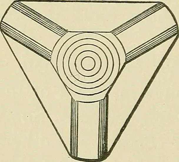 An illustration from Modern American locomotive engines; their design, construction and management. A practical work for practical men, 1883, leaf 173
