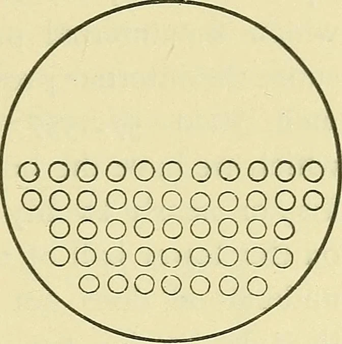 An illustration from Modern American locomotive engines; their design, construction and management. A practical work for practical men, 1883, leaf 176