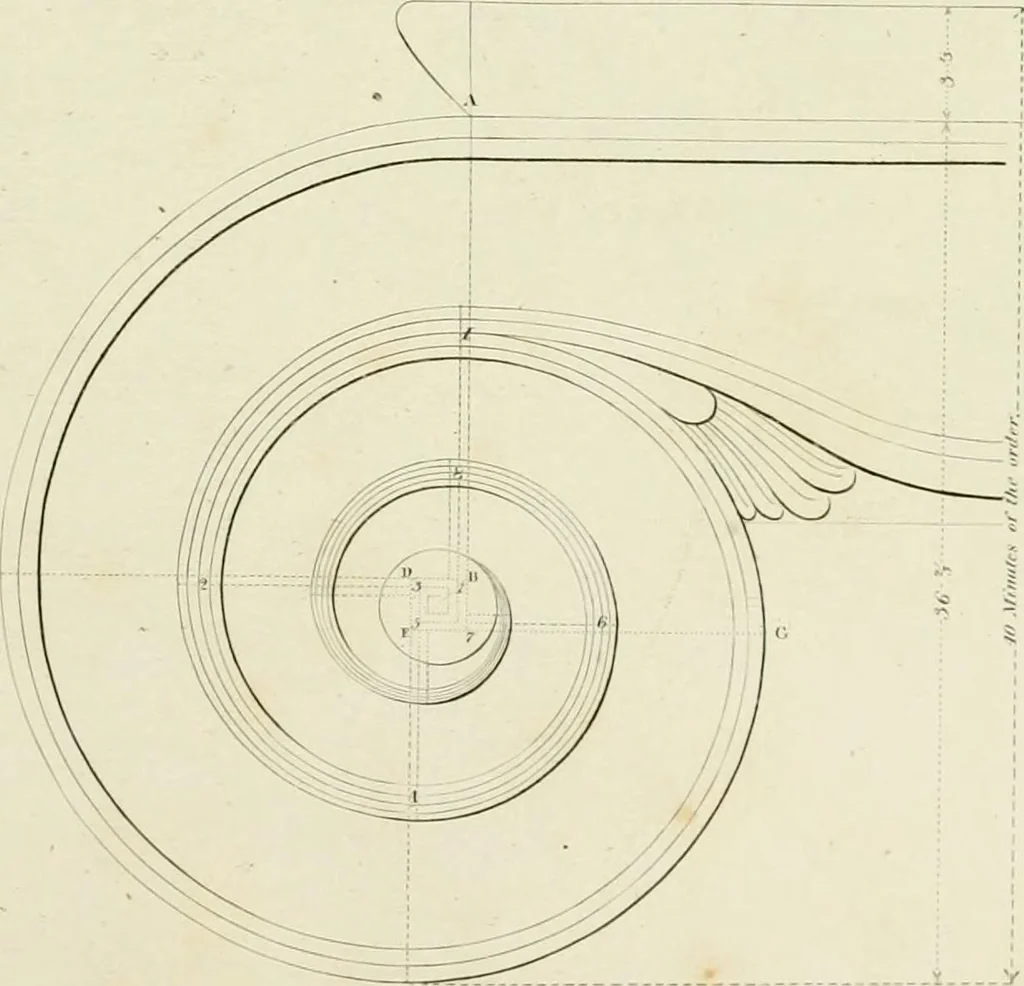 An illustration from The modern architect : or, Every carpenter his own master ; embracing plans, elevations, specifications, framing, etc., for private houses, classic dwellings, churches, &c. to which is added a new system of stair-building, 1854, leaf 174