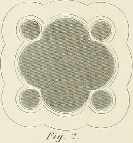 An illustration from The modern architect : or, Every carpenter his own master ; embracing plans, elevations, specifications, framing, etc., for private houses, classic dwellings, churches, &c. to which is added a new system of stair-building, 1854, leaf 239