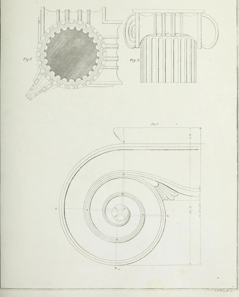 An illustration from The modern architect, or, Every carpenter his own master : embracing plans, elevations, specifications, framing, etc., for private houses, classic dwellings, churches, &c., to which added the new system of stair-building, 1855, leaf 168