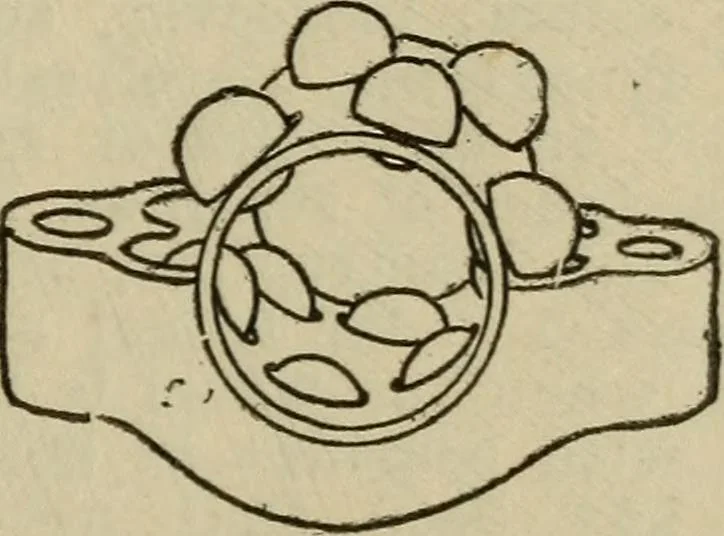 An illustration from The Modern bicycle and its accessories; a complete reference book for rider, dealer, and maker, 1898, leaf 104