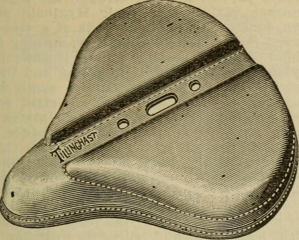 An illustration from The Modern bicycle and its accessories; a complete reference book for rider, dealer, and maker, 1898, leaf 120