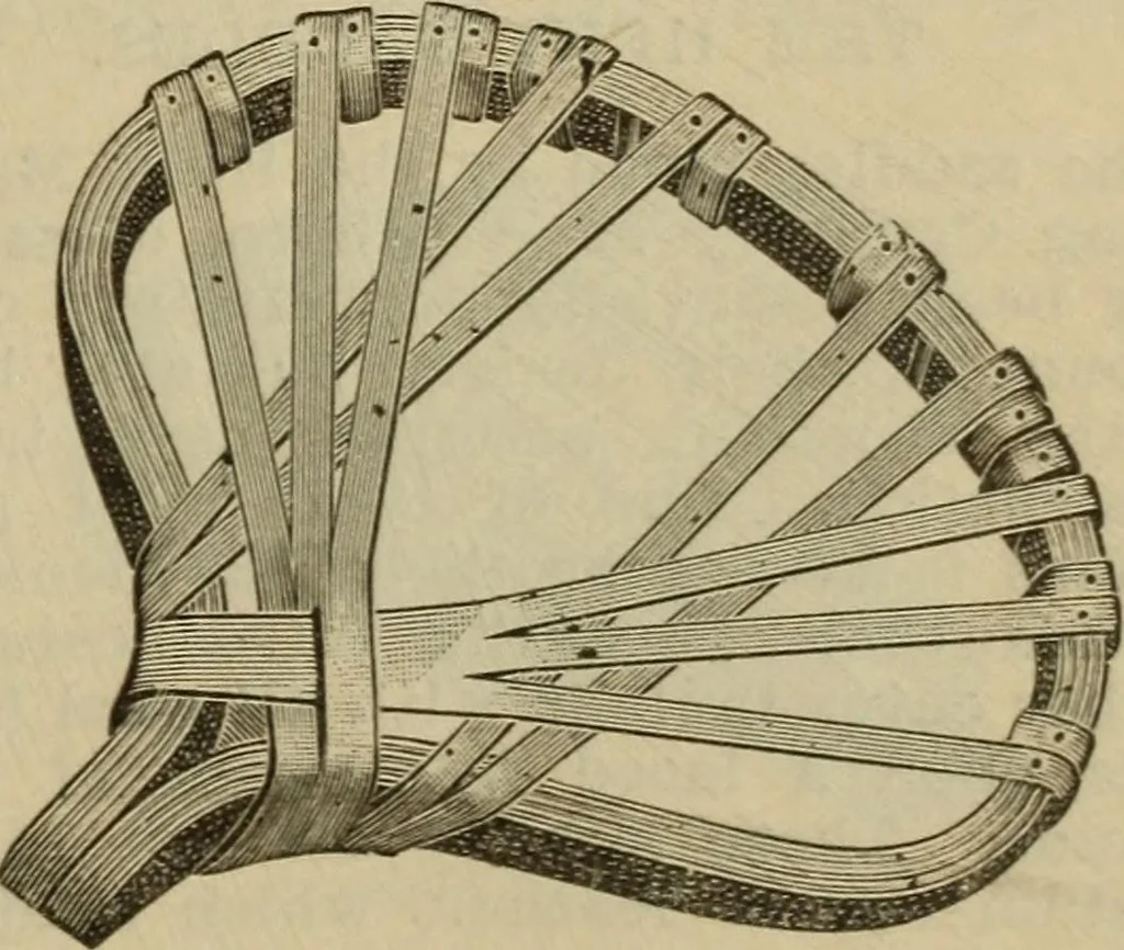 An illustration from The Modern bicycle and its accessories; a complete reference book for rider, dealer, and maker, 1898, leaf 120