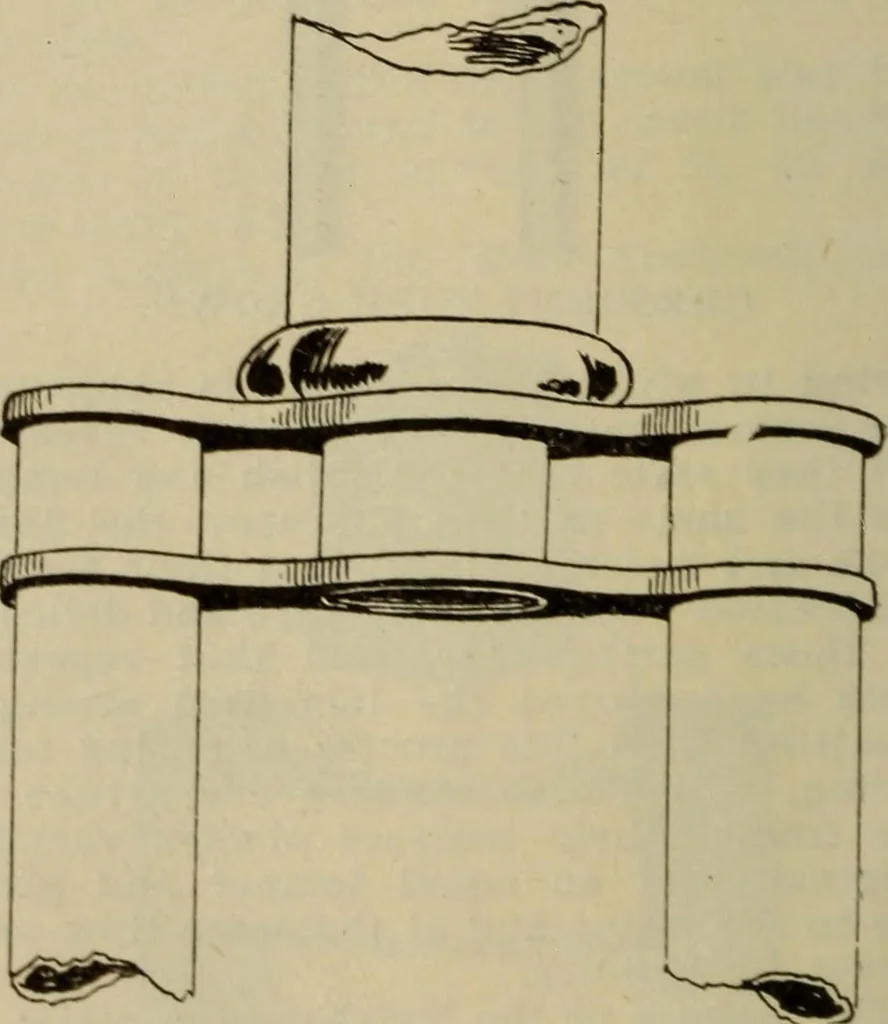 An illustration from The Modern bicycle and its accessories; a complete reference book for rider, dealer, and maker, 1898, leaf 63
