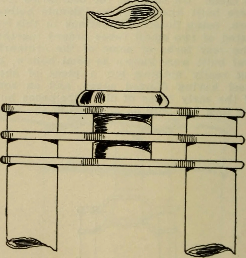 An illustration from The Modern bicycle and its accessories; a complete reference book for rider, dealer, and maker, 1898, leaf 65