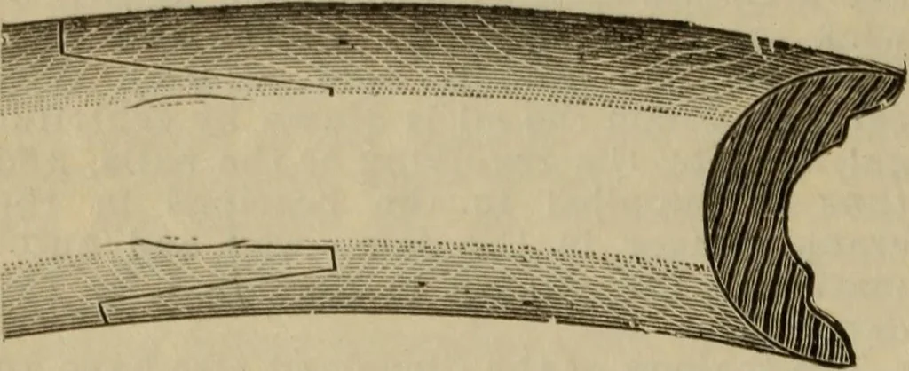 An illustration from The Modern bicycle and its accessories; a complete reference book for rider, dealer, and maker, 1898, leaf 93