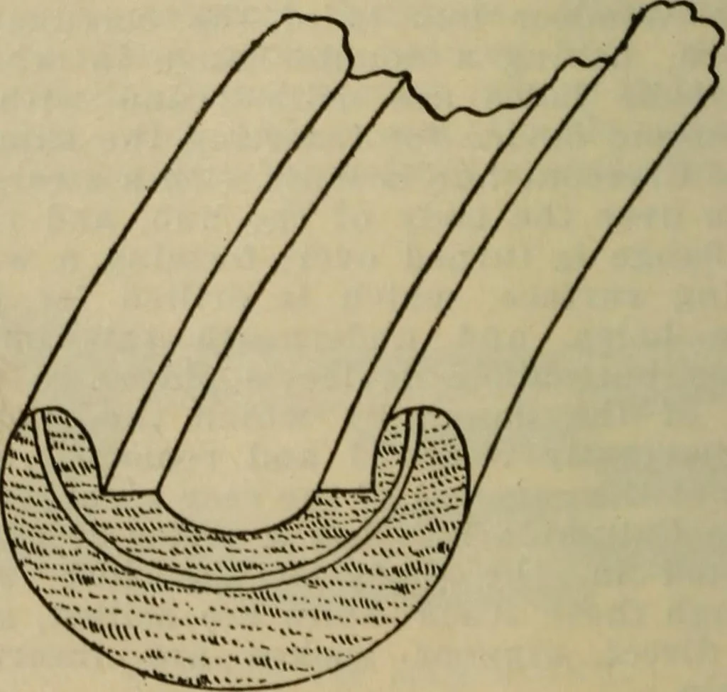 An illustration from The Modern bicycle and its accessories; a complete reference book for rider, dealer, and maker, 1898, leaf 93