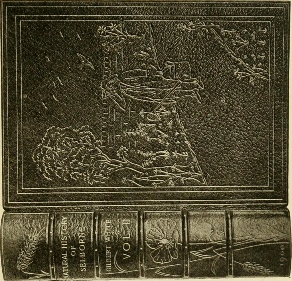 An illustration from Modern bookbindings, their design and decoration, 1906, leaf 40
