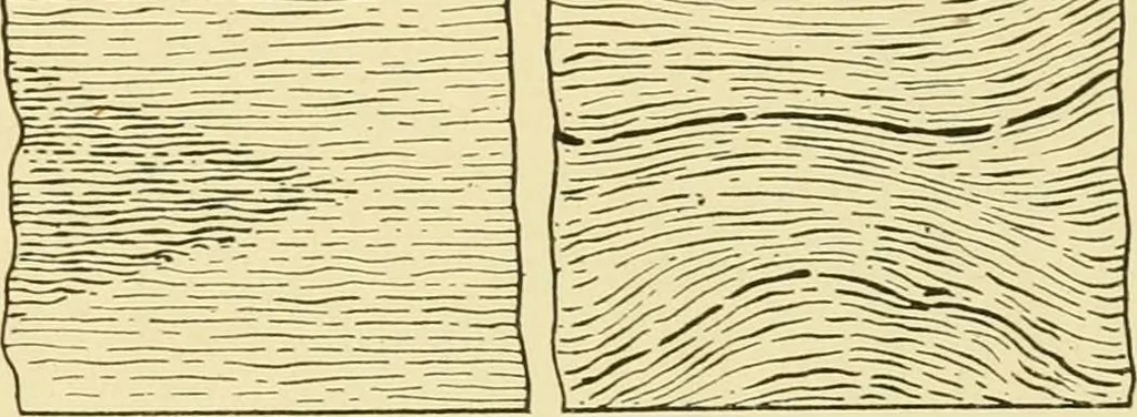 An illustration from Modern cabinet work, furniture & fitments; an account of the theory & practice in the production of all kinds of cabinet work & furniture with chapters on the growth and progress of design and construction; illustrated by over 1000 practical workshop drawings, photographs & original designs, 1922, leaf 292