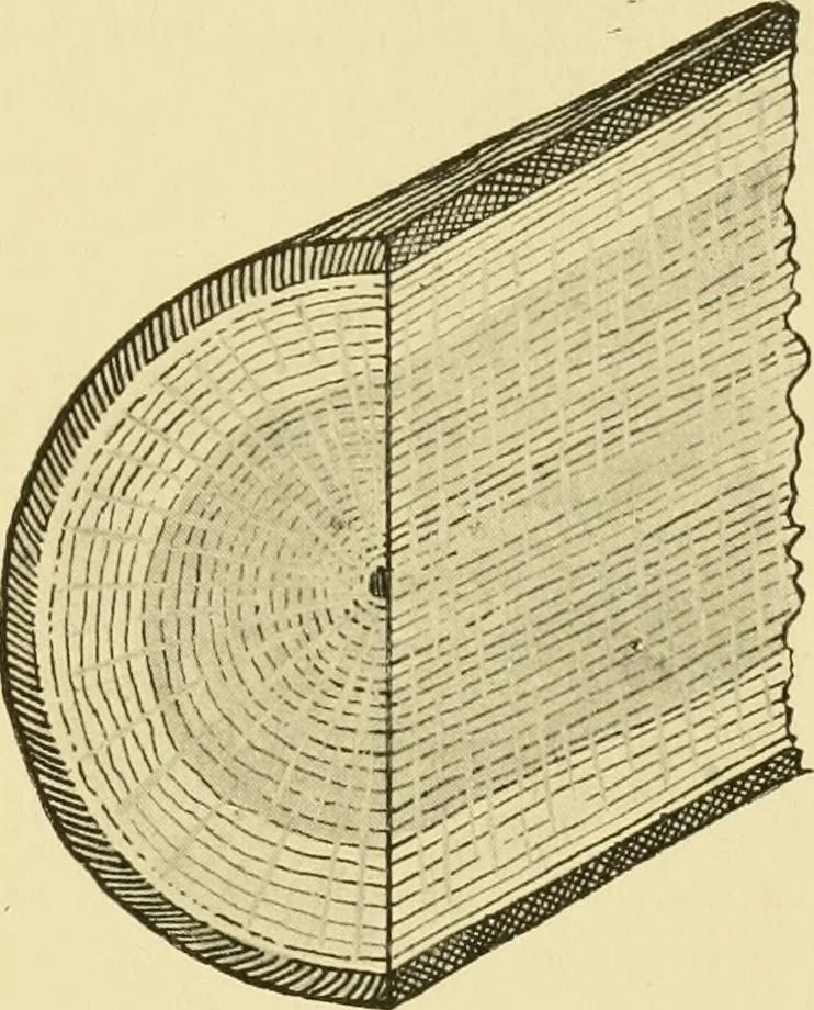 An illustration from Modern cabinet work, furniture & fitments; an account of the theory & practice in the production of all kinds of cabinet work & furniture with chapters on the growth and progress of design and construction; illustrated by over 1000 practical workshop drawings, photographs & original designs, 1922, leaf 444