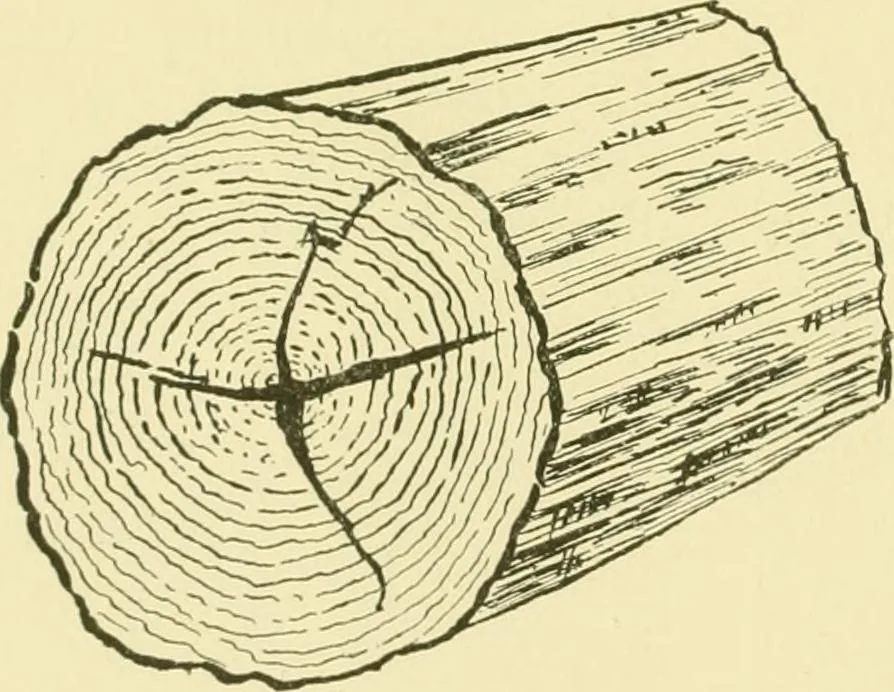 An illustration from Modern cabinet work, furniture & fitments; an account of the theory & practice in the production of all kinds of cabinet work & furniture with chapters on the growth and progress of design and construction; illustrated by over 1000 practical workshop drawings, photographs & original designs, 1922, leaf 445